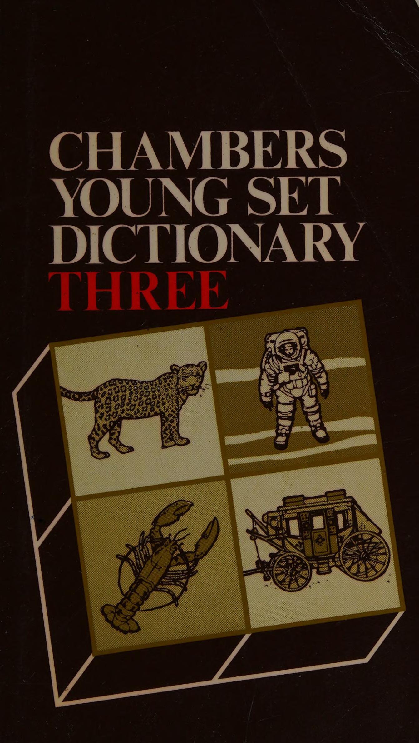 Young Set Dictionaries: No. 3