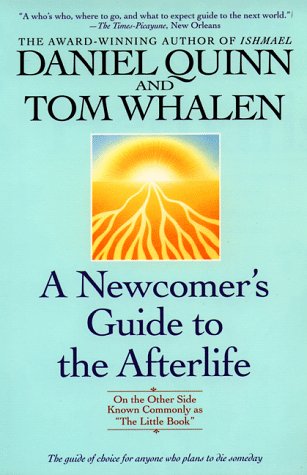 A Newcomer's Guide to the Afterlife
