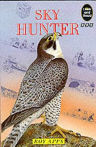 Sky Hunter