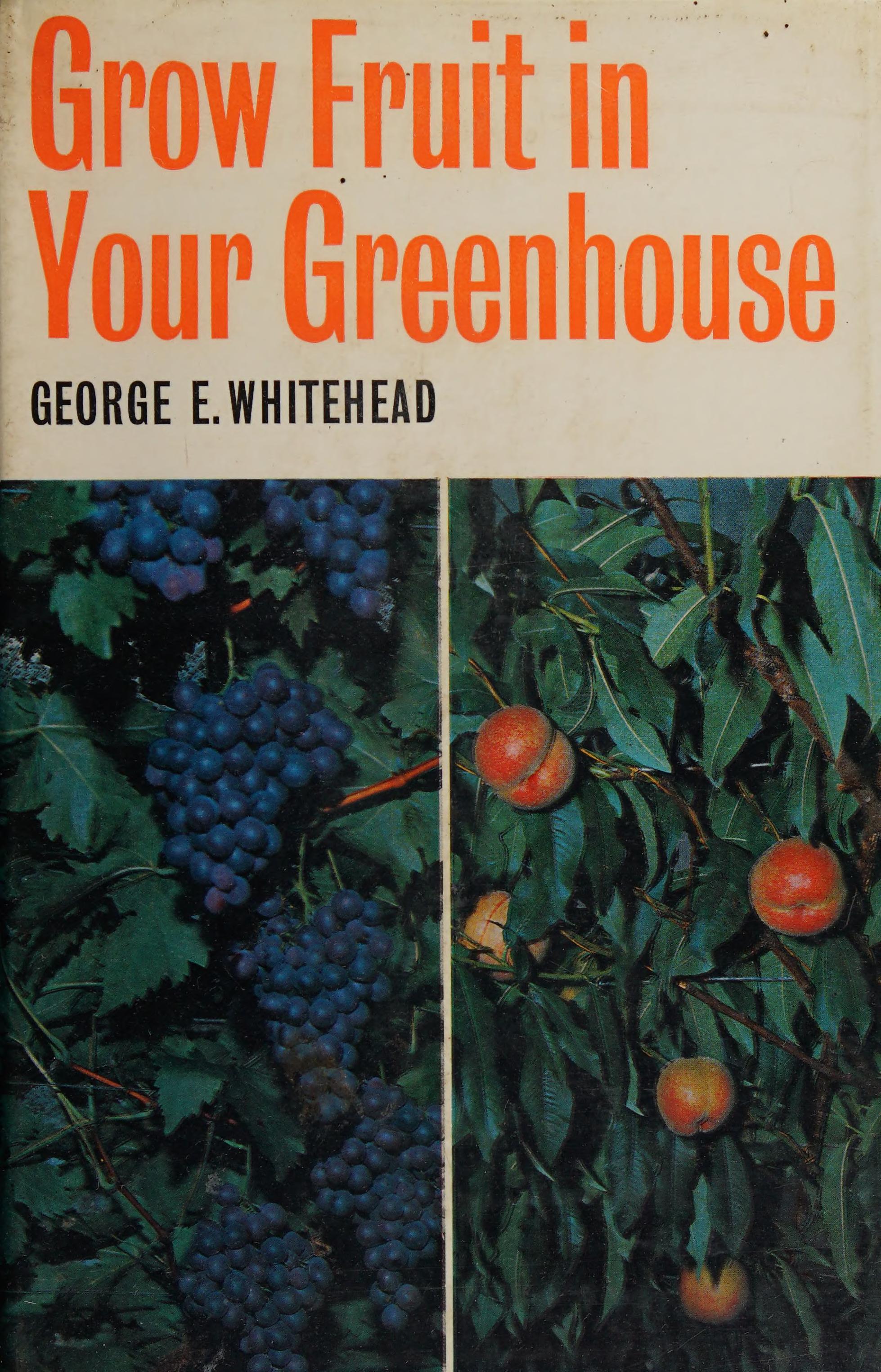 Grow Fruit In Your Greenhouse