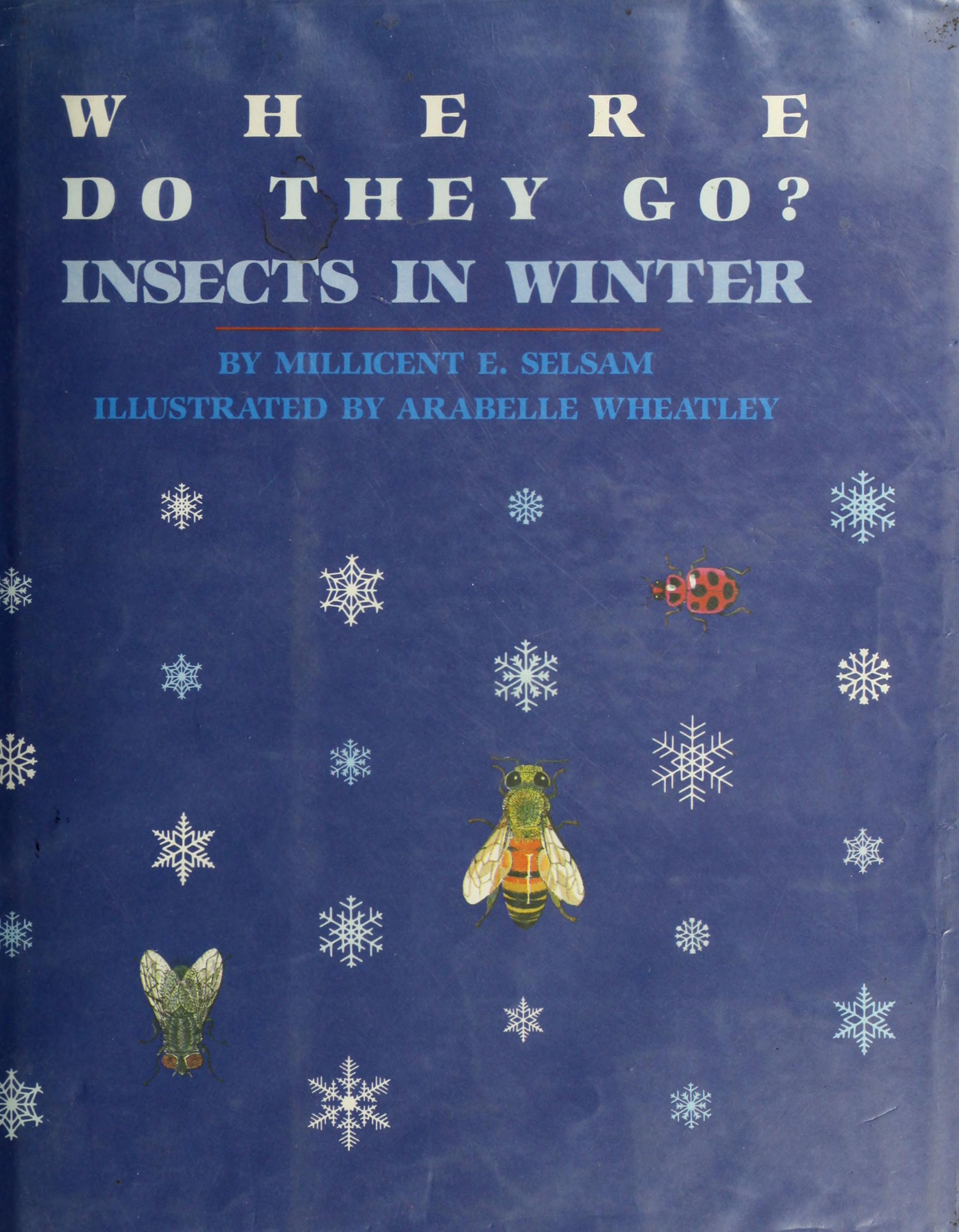 Where Do They Go? Insects in Winter