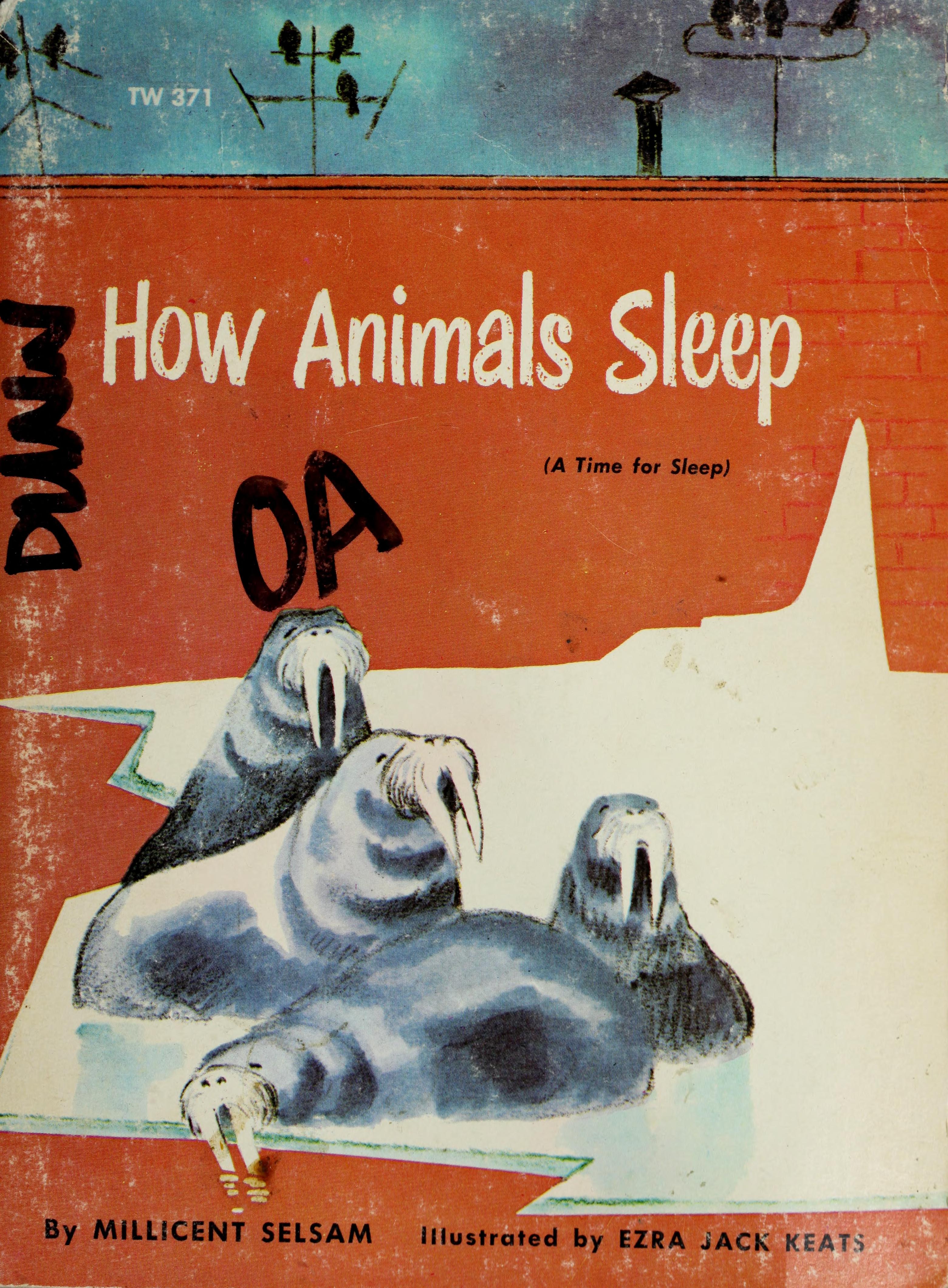 How Animals Sleep