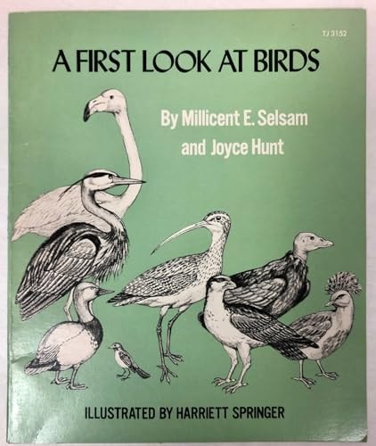 A First Look at Birds