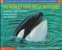 Do Whales Have Belly Buttons