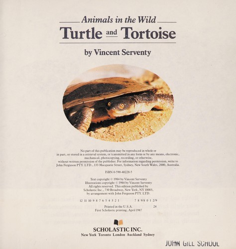 Turtle and Tortoise