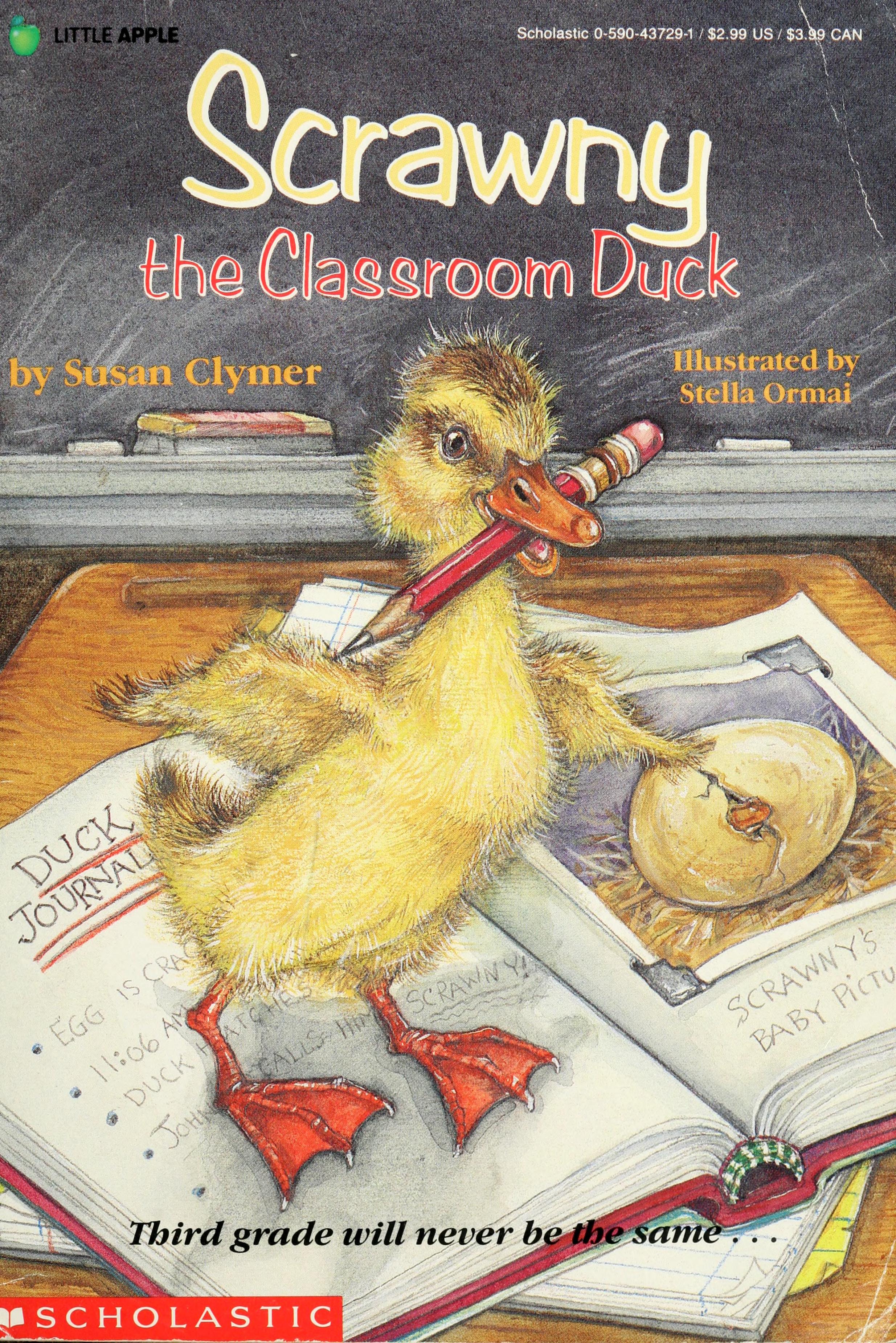 Scrawny, the Classroom Duck