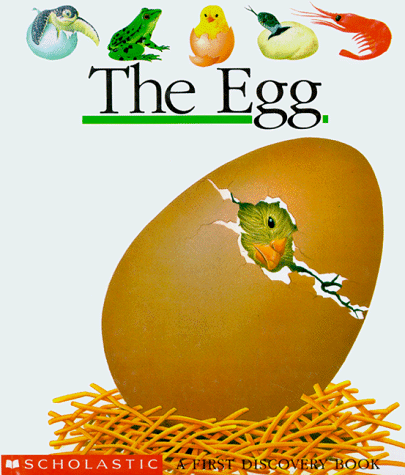 The Egg