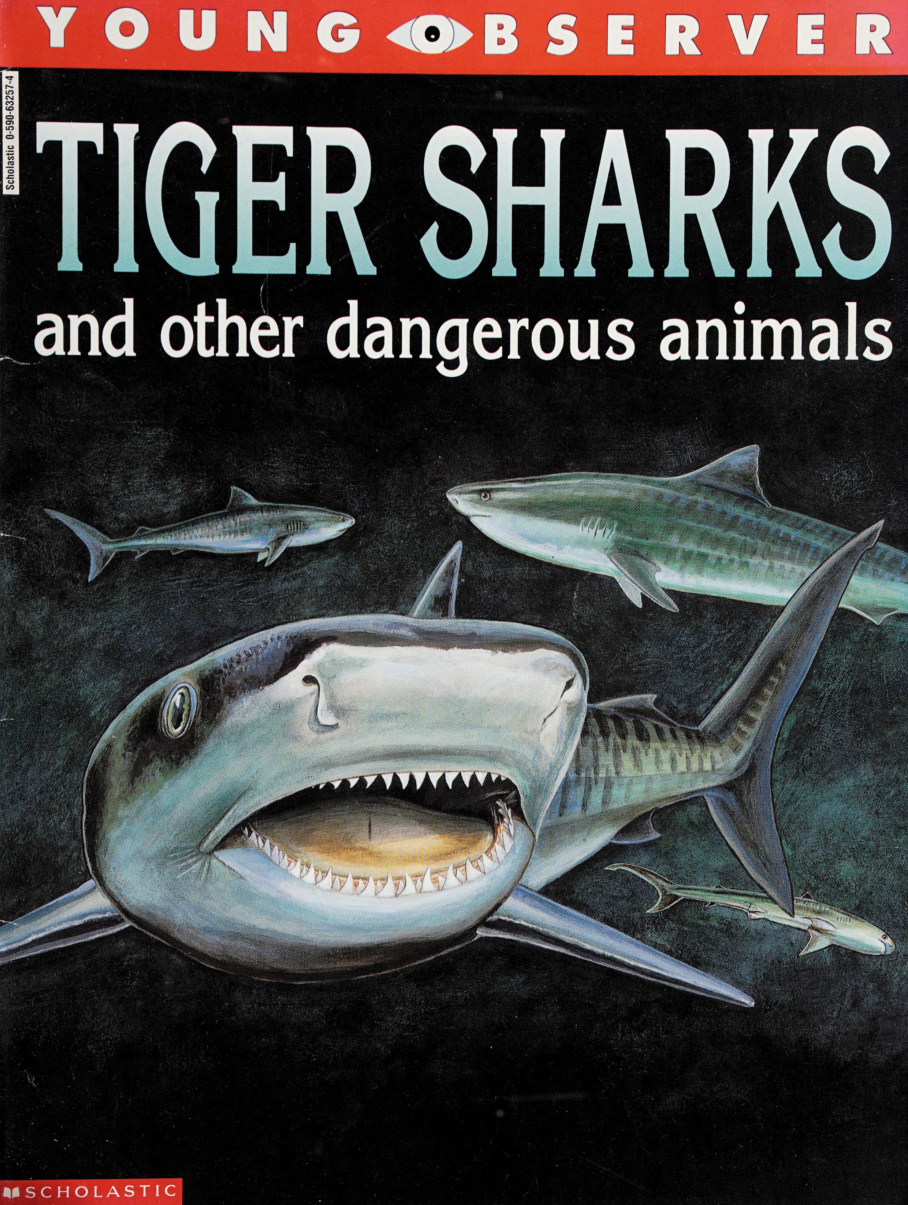 Tiger Sharks And Other Dangerous Animals
