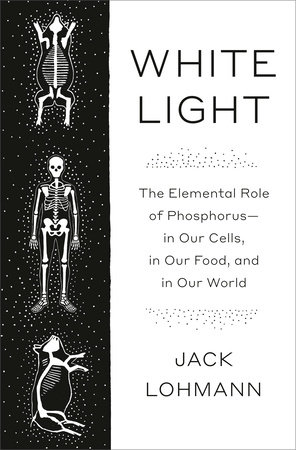 White Light by Jack Lohmann, ISBN 9780593316627