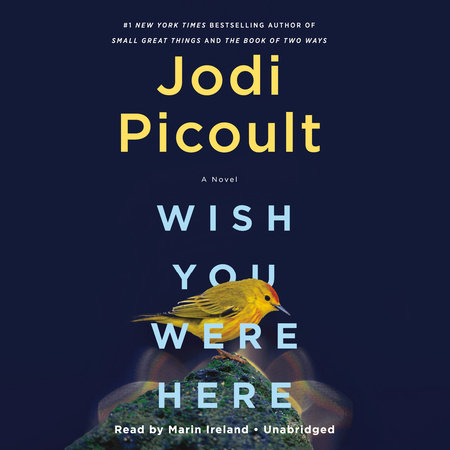 Wish You Were Here by Jodi Picoult, ISBN 9780593508640