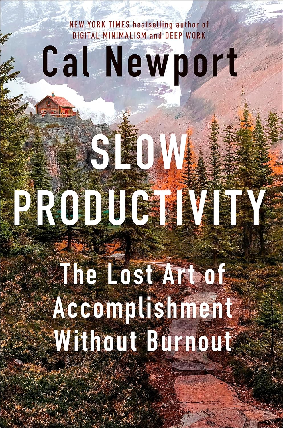 Slow Productivity by Cal Newport, ISBN 9780593544853