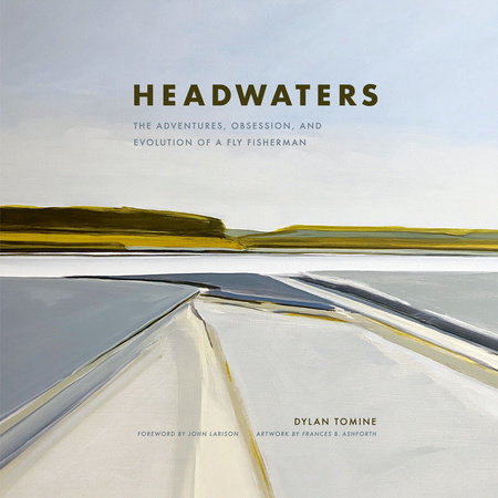 Headwaters by Dylan Tomine, ISBN 9780593557099