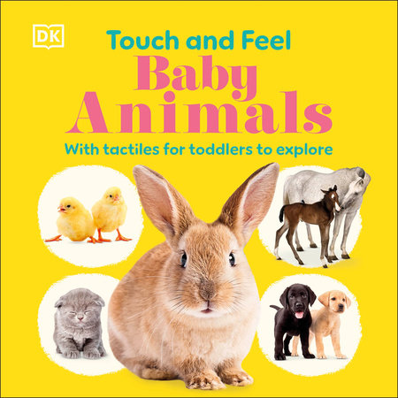 Touch And Feel Baby Animals