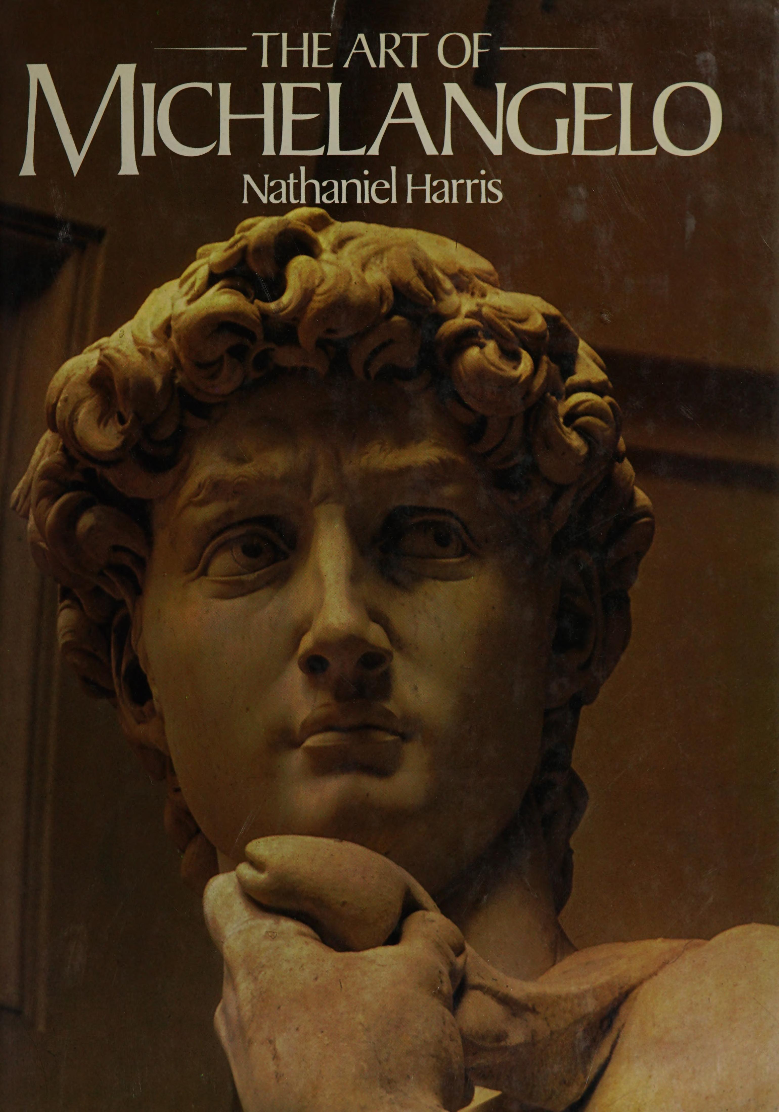 The Art Of Michelangelo