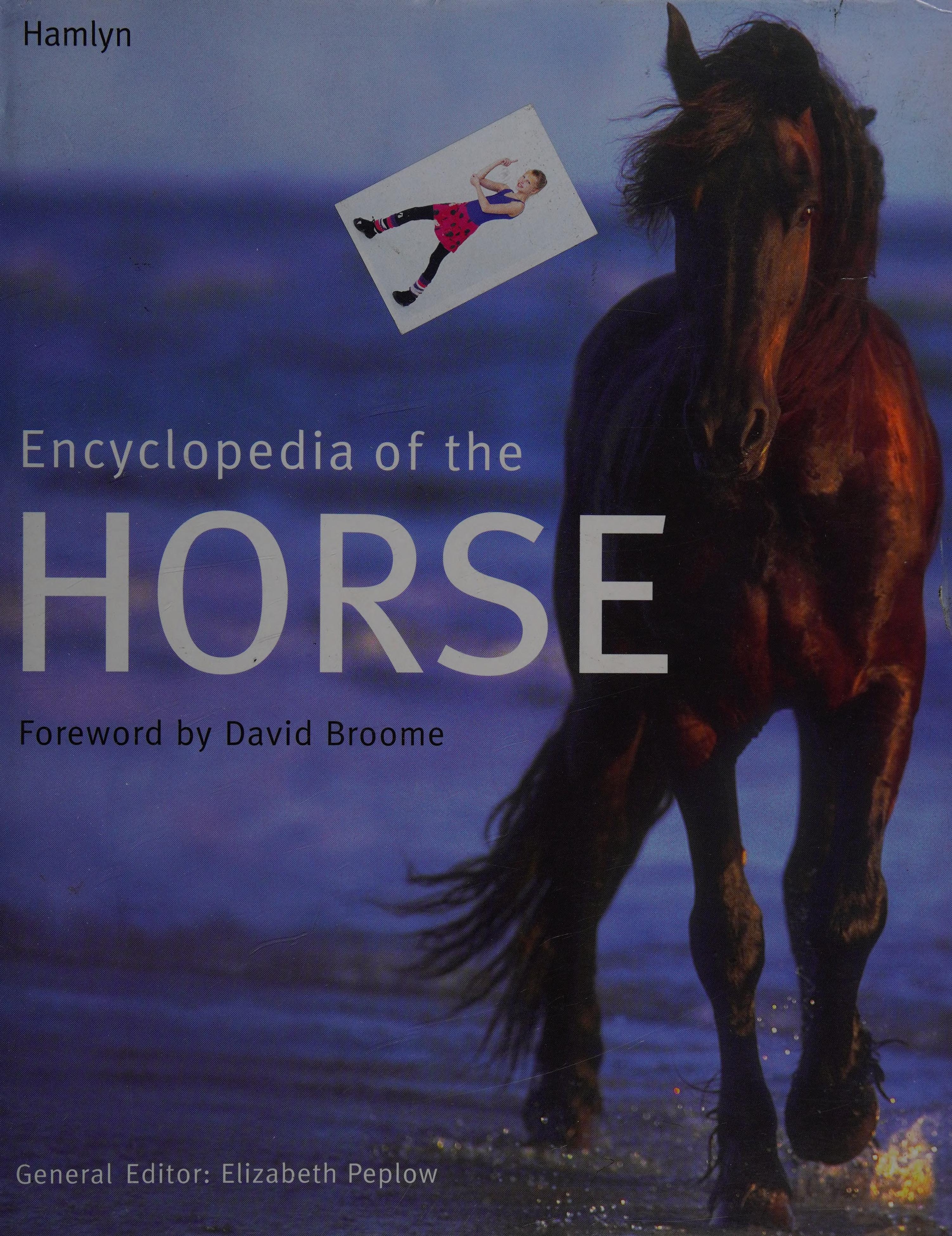 Encyclopedia Of The Horse