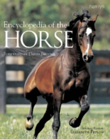 Encyclopedia Of The Horse