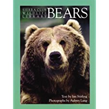 Bears