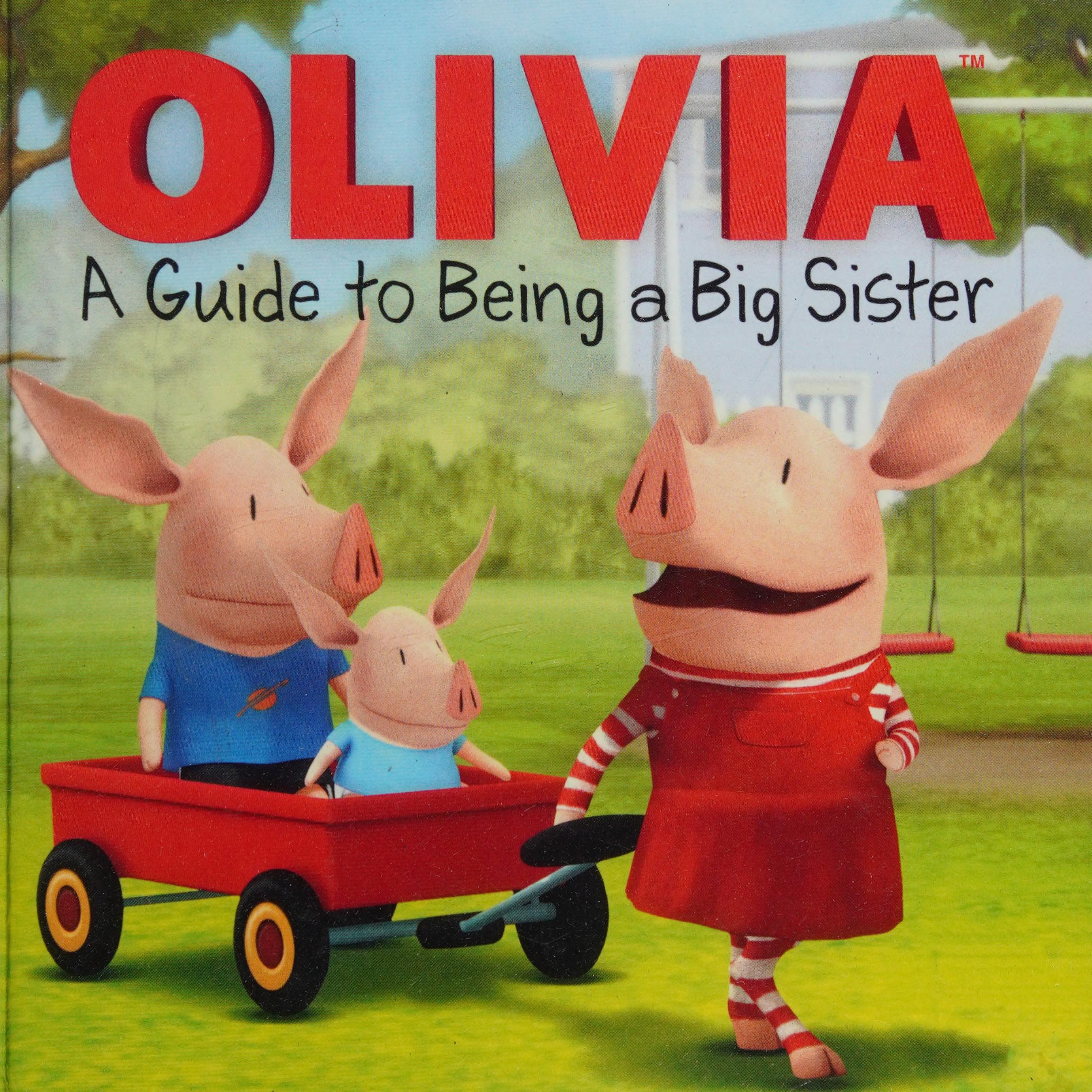 Guide to Being a Big Sister