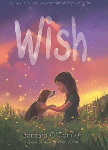 Wish by Barbara O'Connor, ISBN 9780606408189