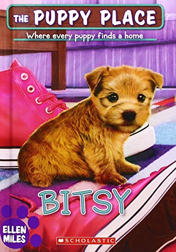 Bitsy