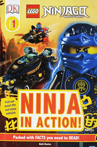 Lego Ninjago Ninja in Action