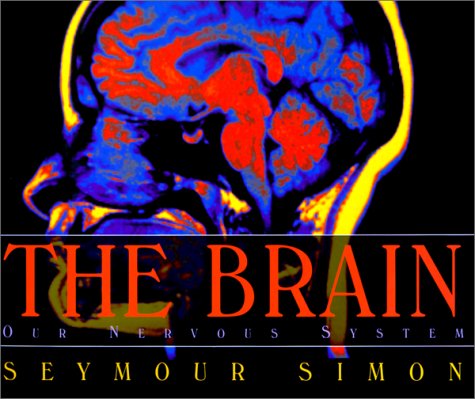 Brain