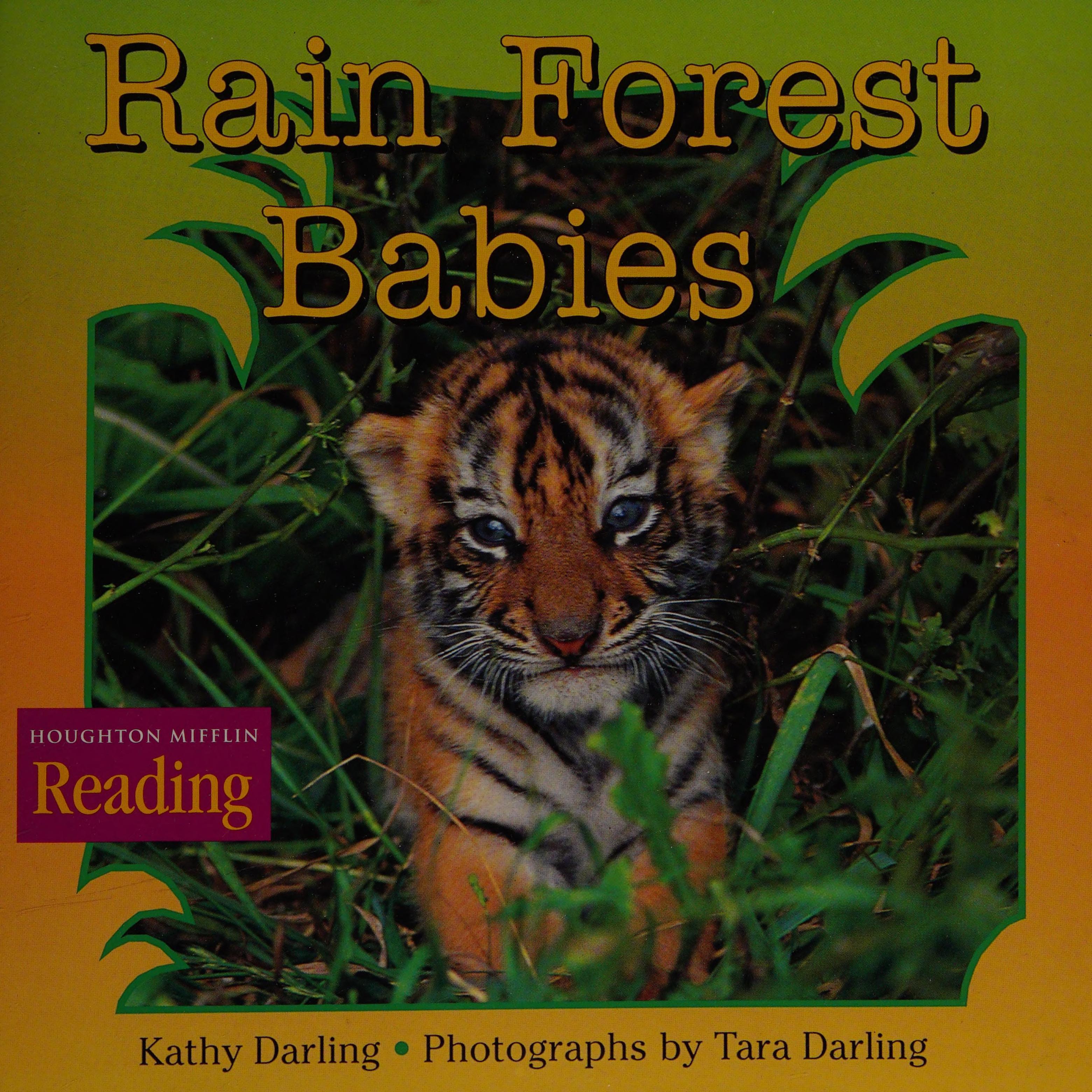 Houghton Mifflin Reading