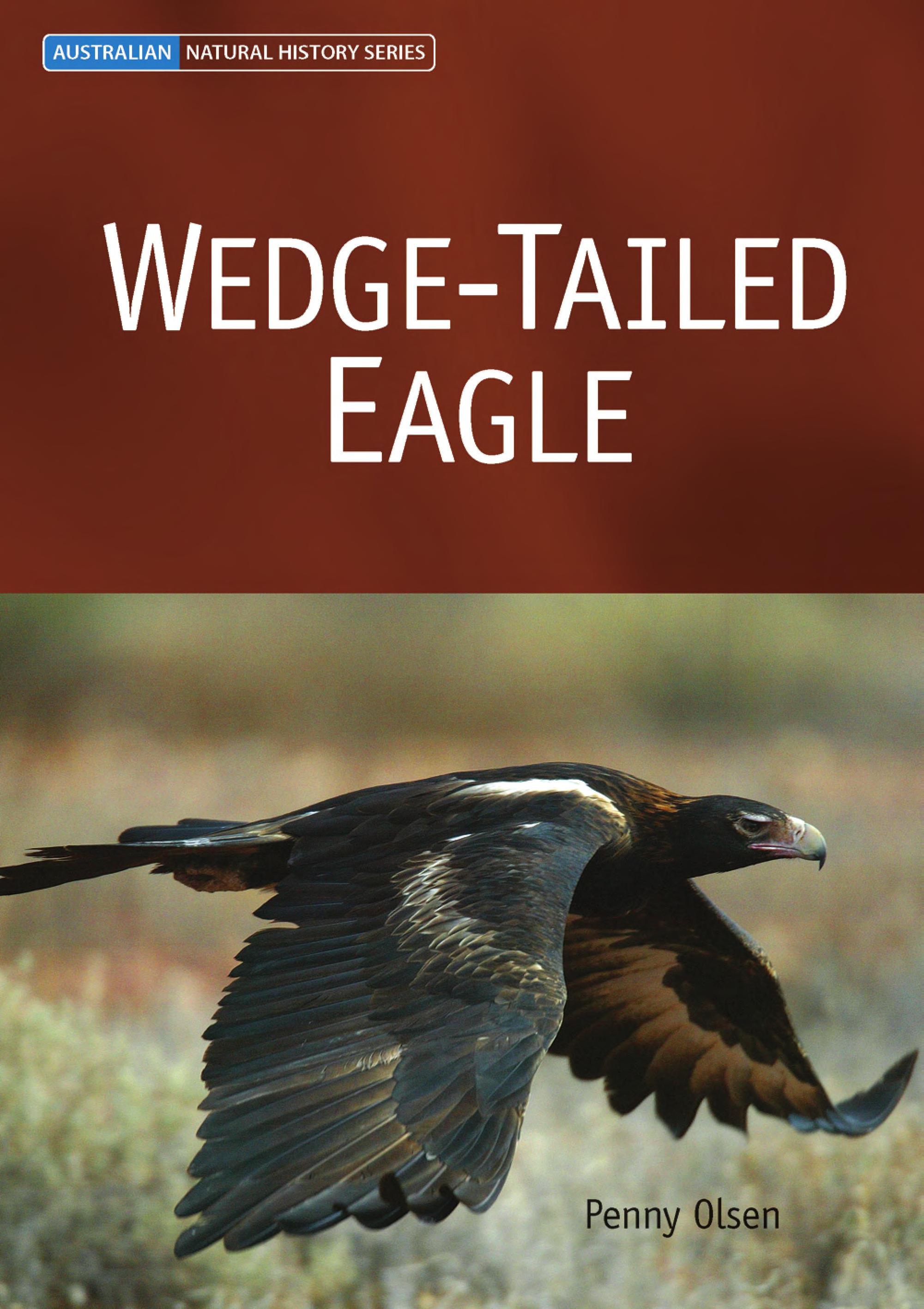 Wedge tailed eagle