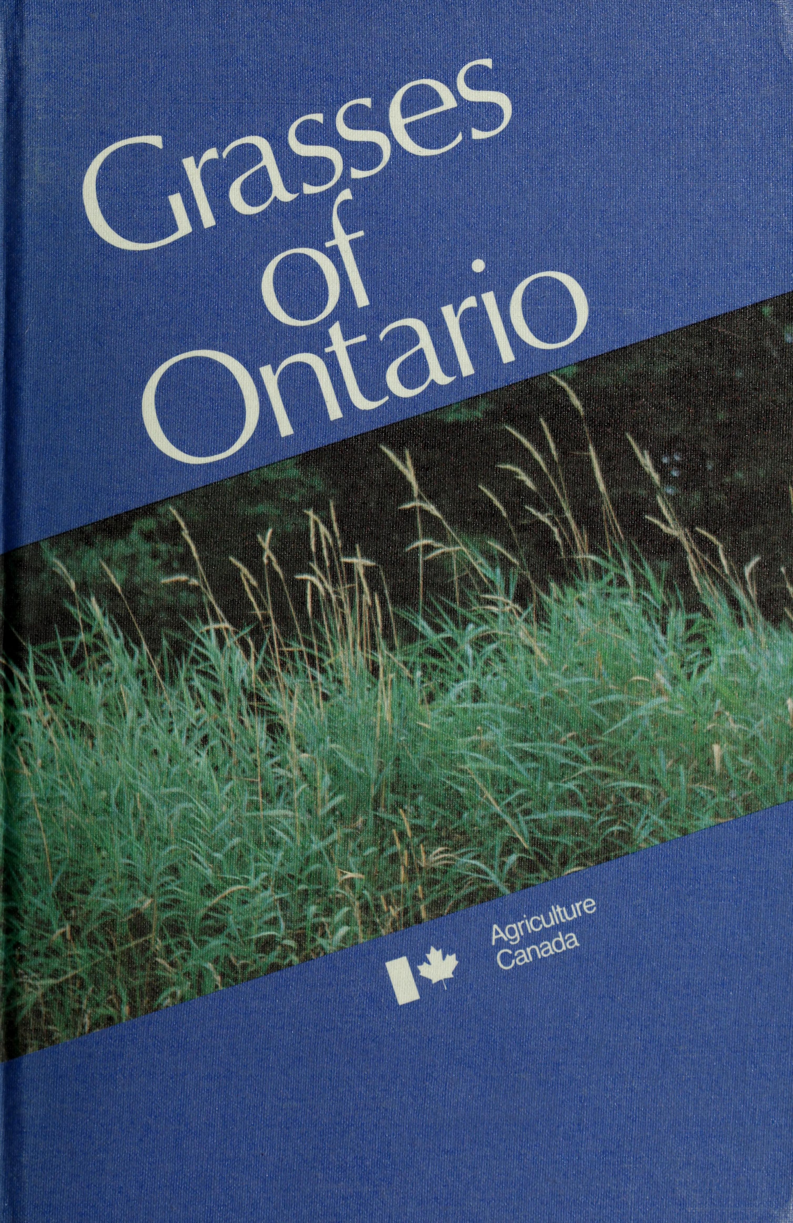 Grasses of Ontario