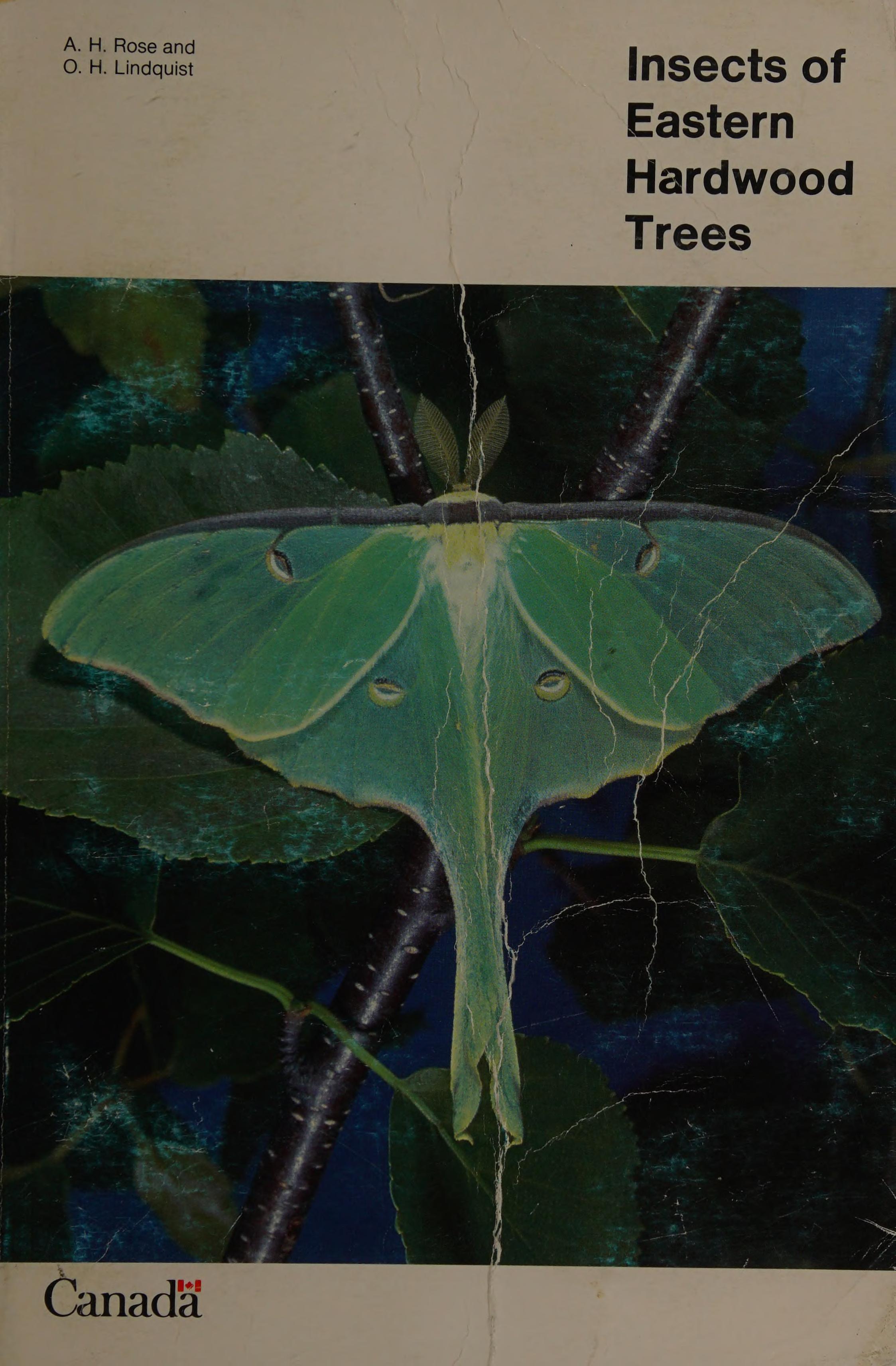 Insects Of Eastern Hardwood Trees