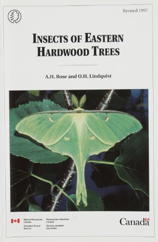 Insects Of Eastern Hardwood Trees