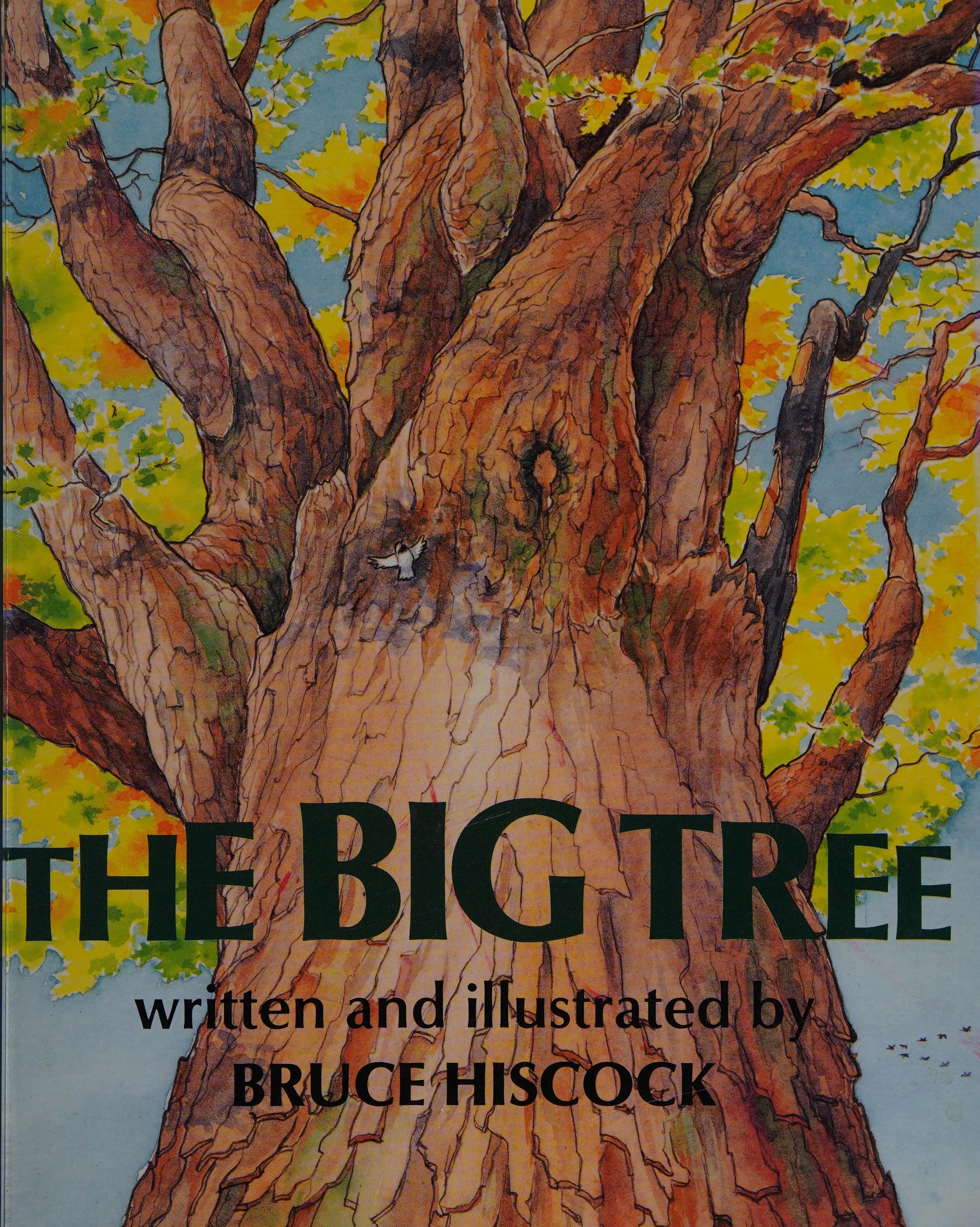 The Big Tree