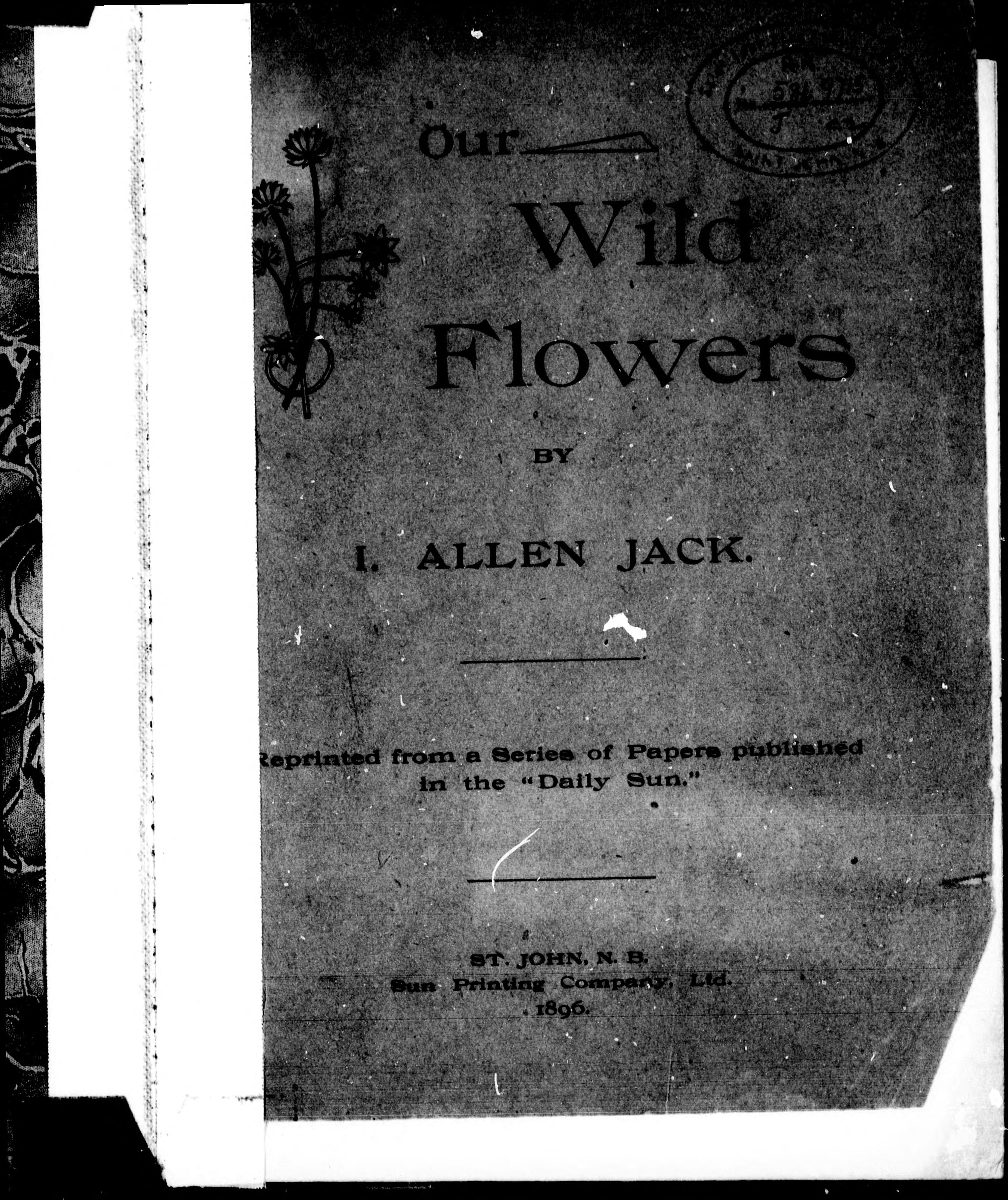 Our Wild Flowers