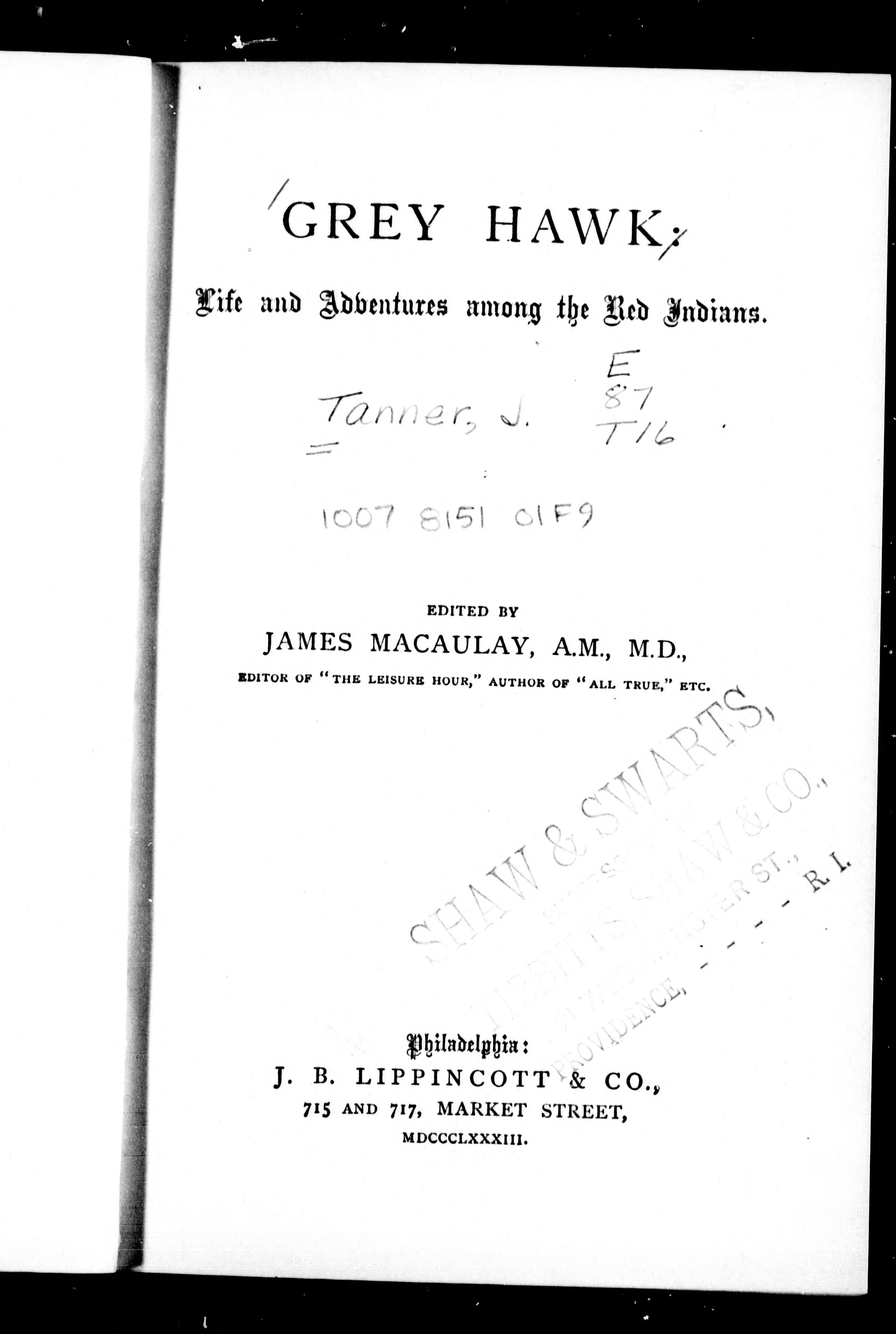 Grey Hawk