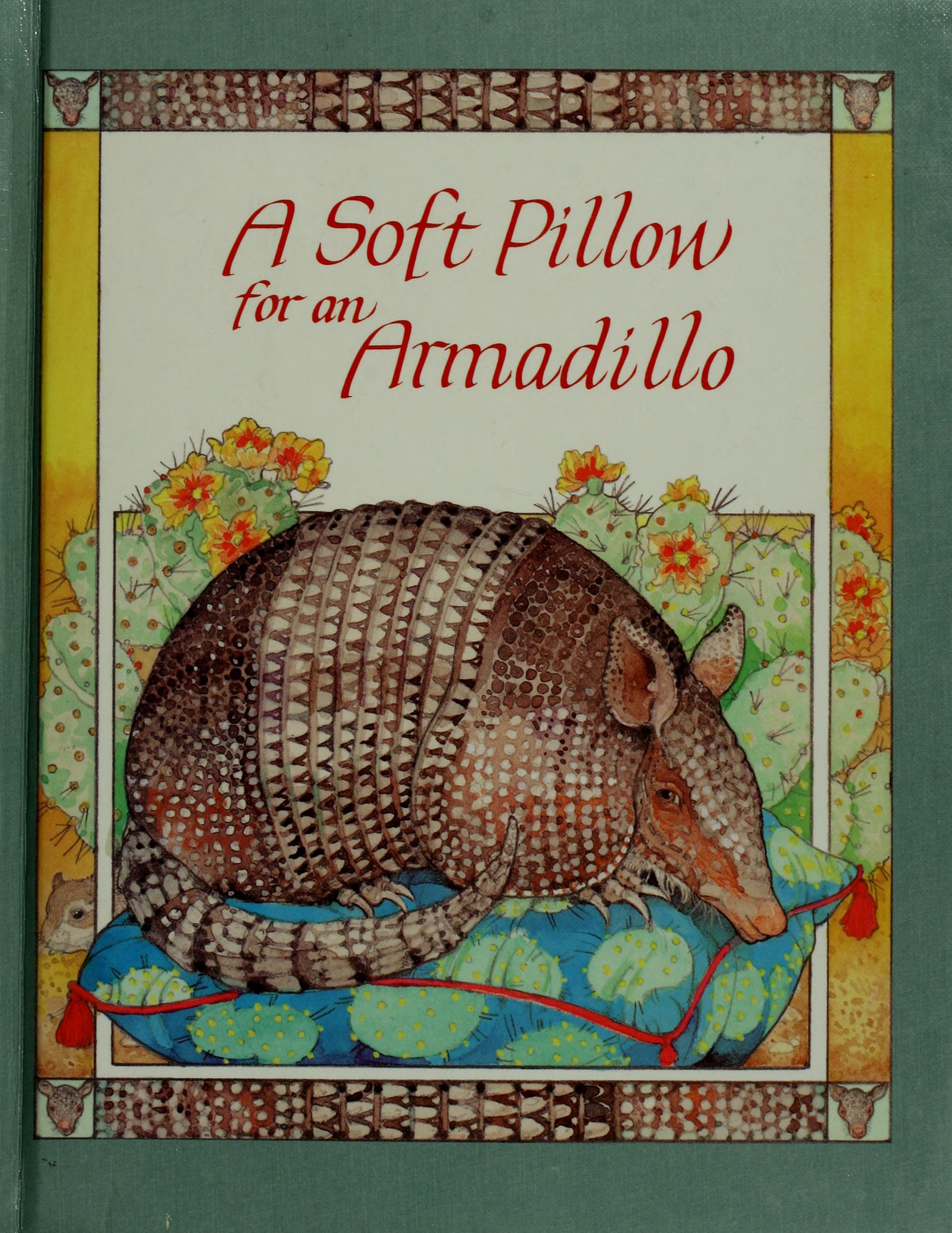 A Soft Pillow for an Armadillo