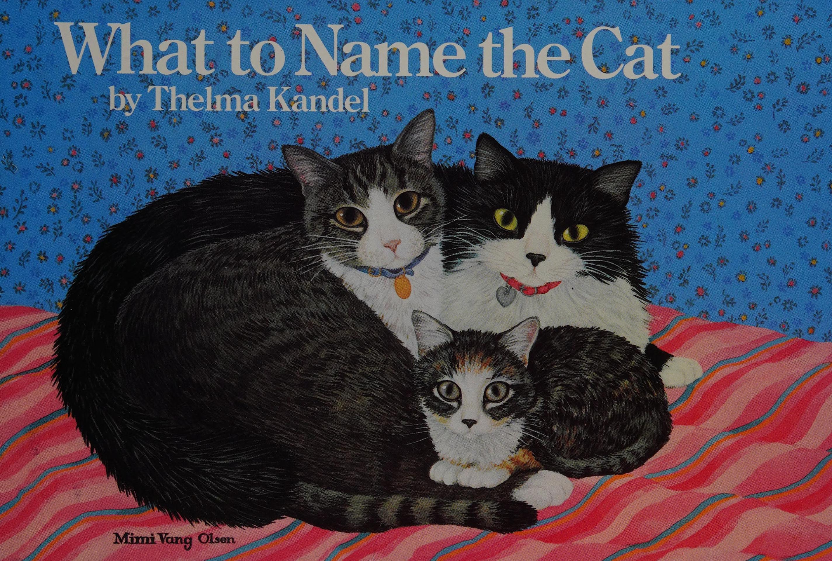 What To Name The Cat