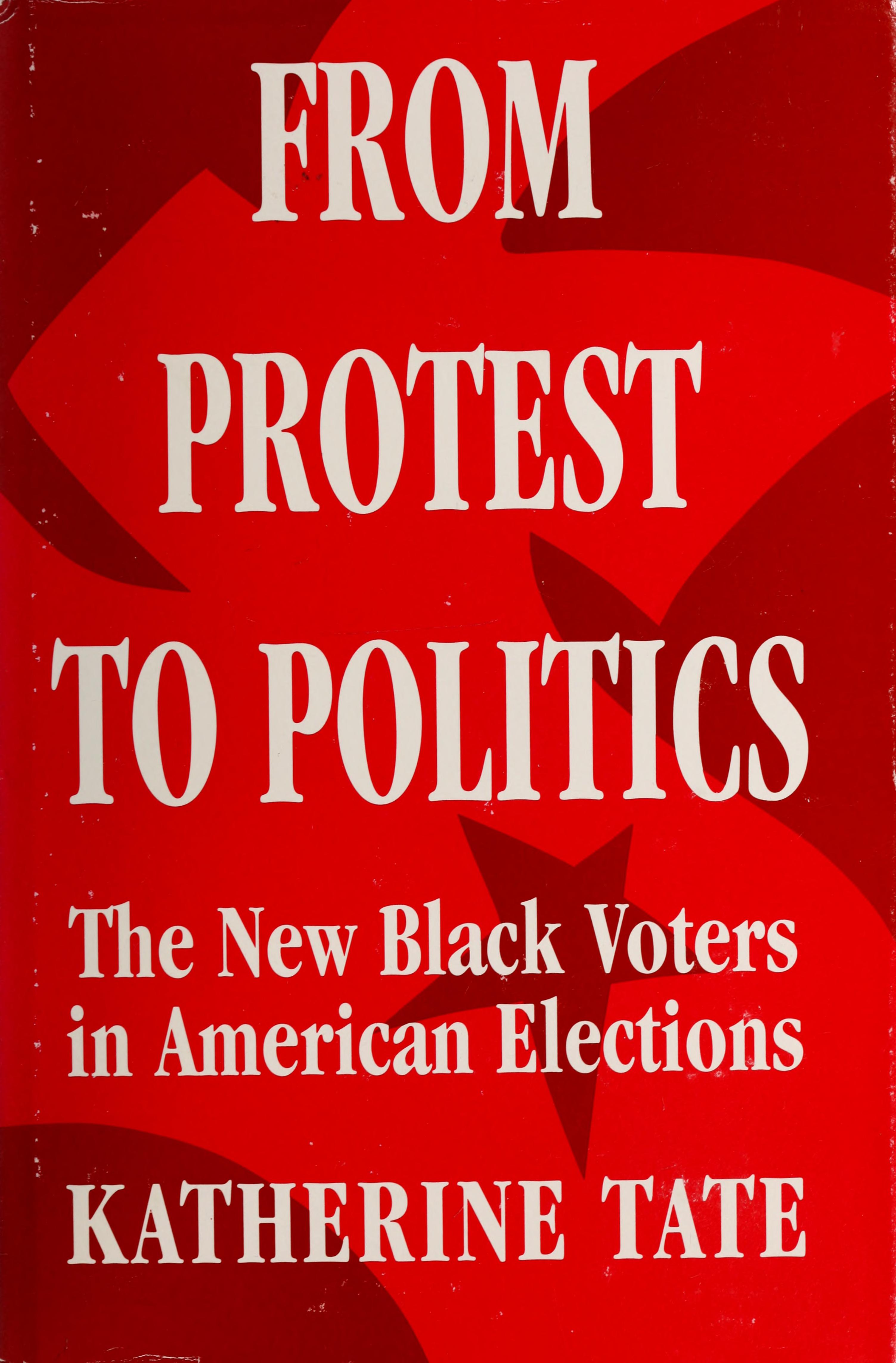 From protest to politics