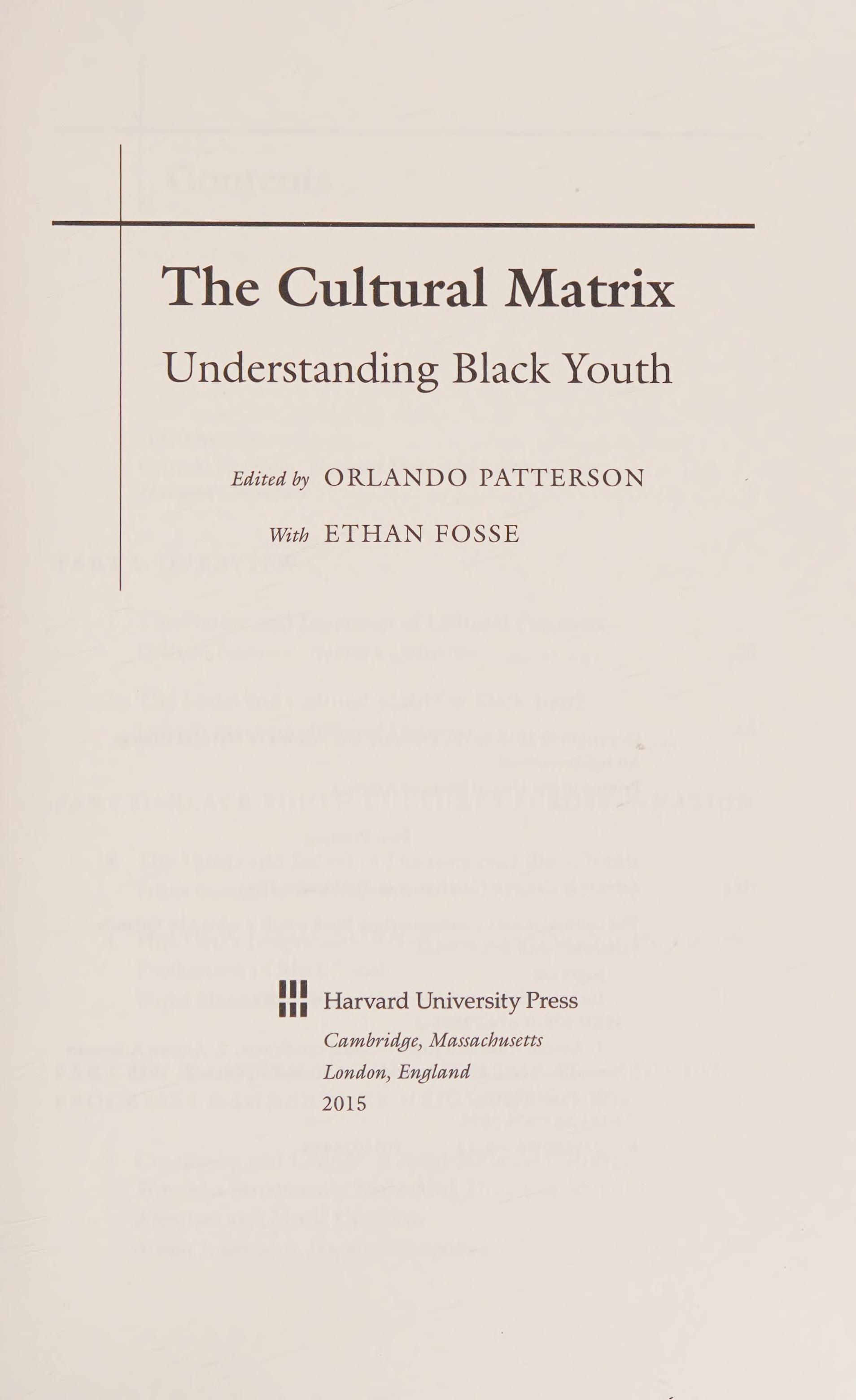 The Cultural Matrix: Understanding Black Youth