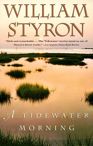 A Tidewater Morning
