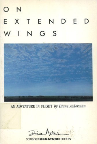On Extended Wings