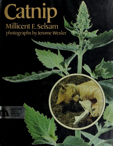 Catnip