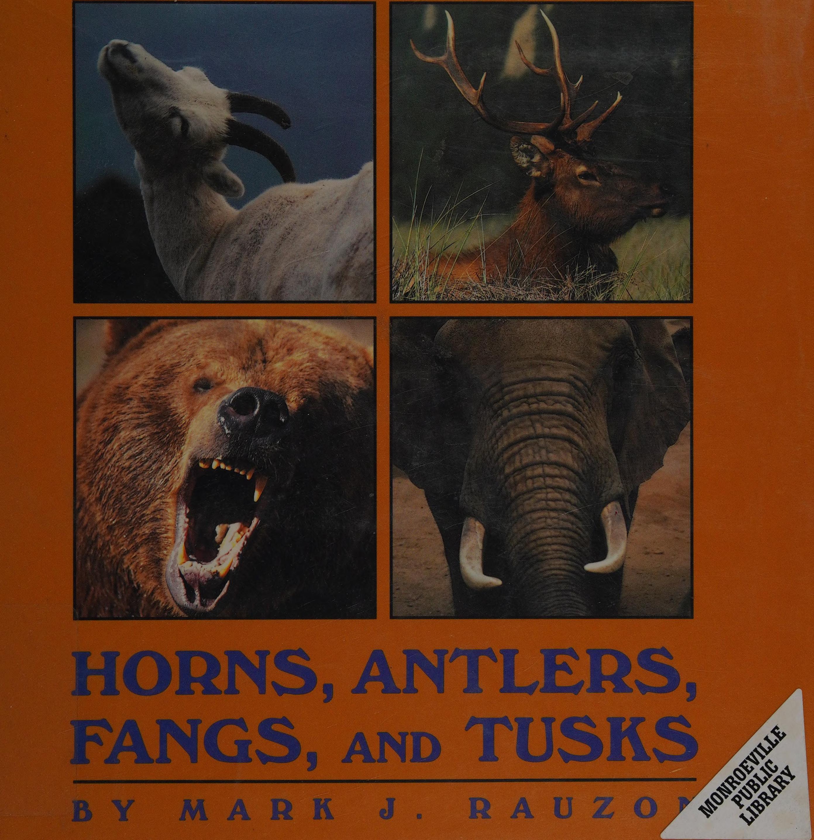 Horns, Antlers, Fangs, and Tusks