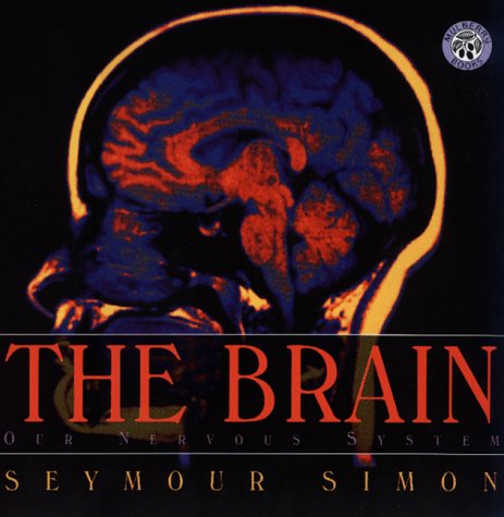 The Brain