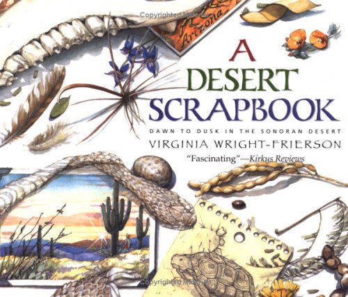 A Desert Scrapbook: Dawn To Dusk In The Sonoran Desert