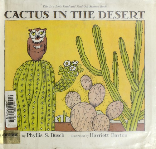 Cactus in the desert