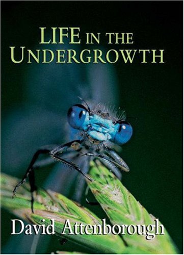 Life in the Undergrowth