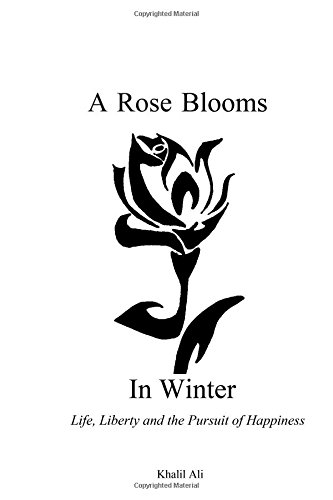 A Rose Blooms In Winter