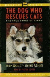 Dog Who Rescues Cats