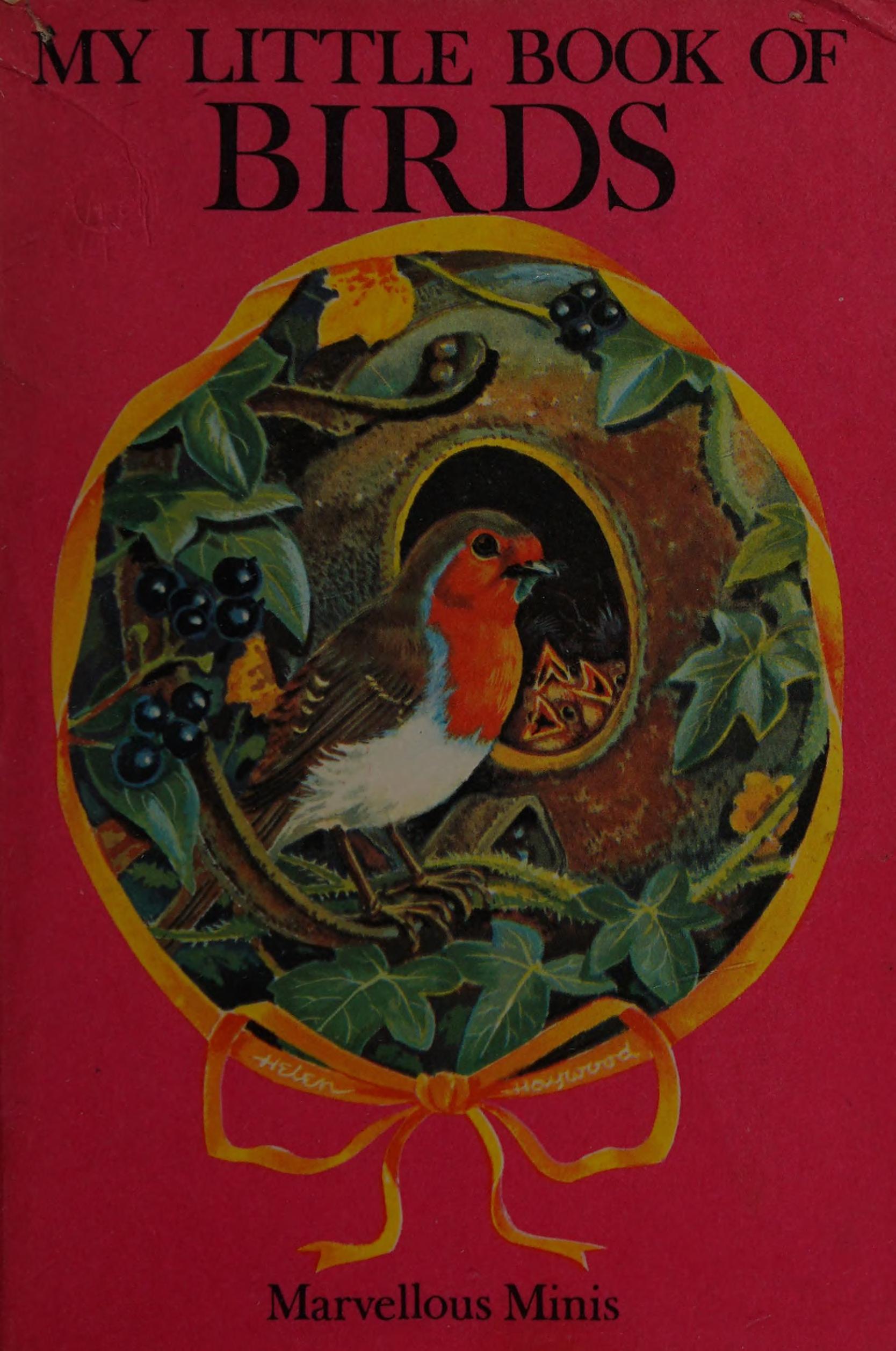 My Little Book of Birds