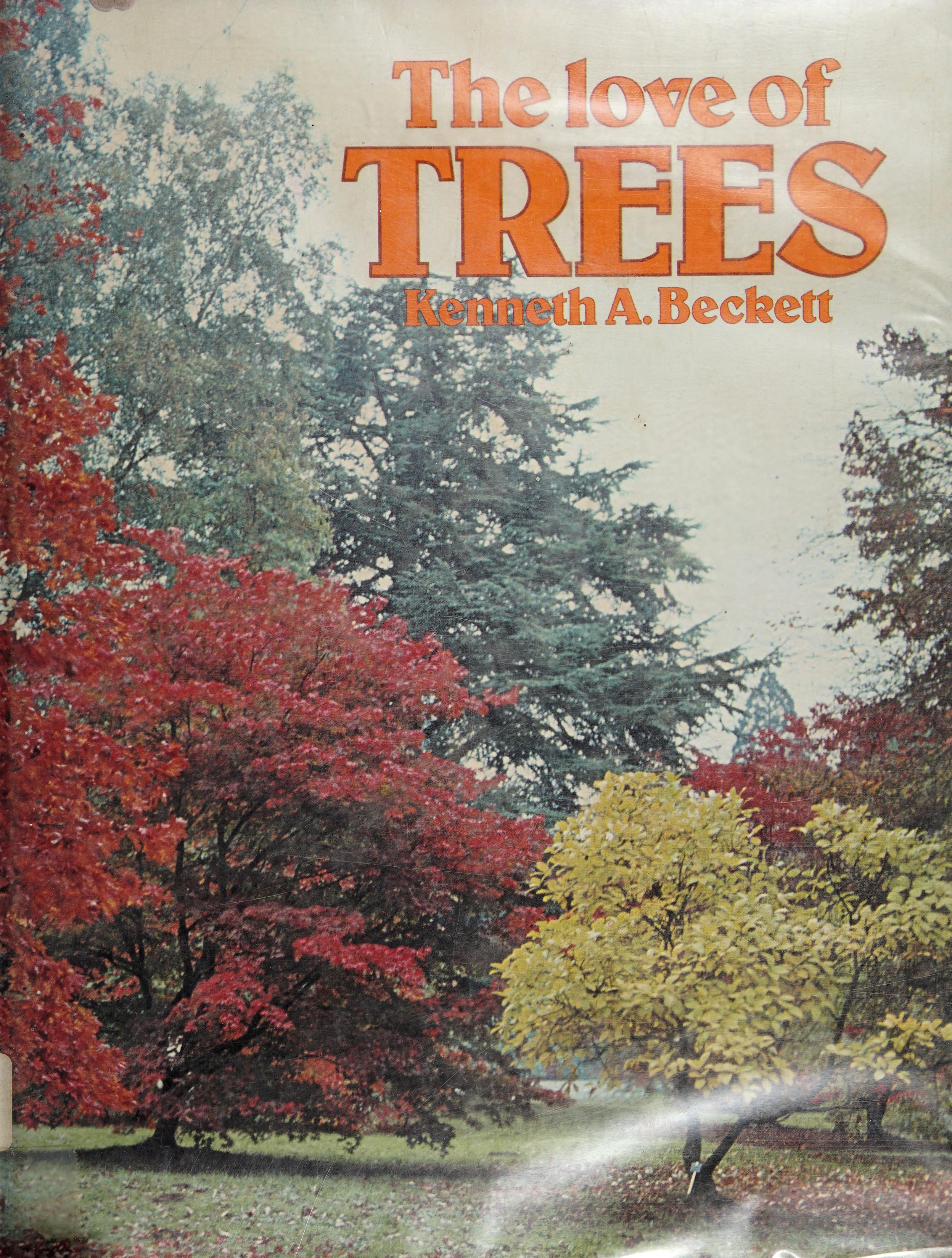 The love of trees